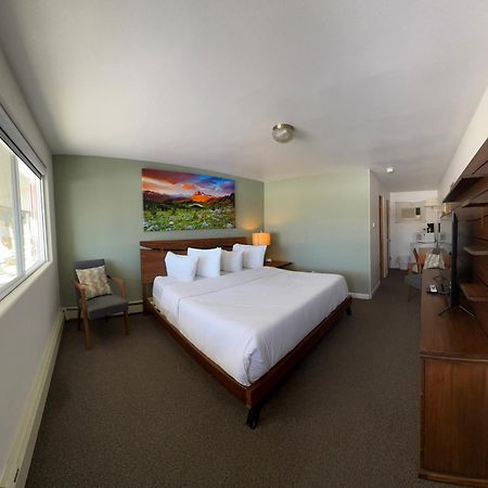 Sage Motel Newcastle Exterior photo